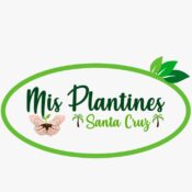 Mis Plantines Santa Cruz