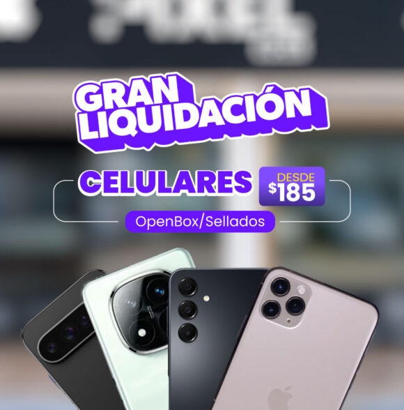 Pixel Ecu
