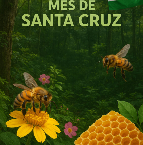 Mis Plantines Santa Cruz